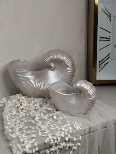 صدف دکوری جذاب با رنگ خاص صدفی که شاین بسیار زیبایی داره مناسب برای گل و جای شمع